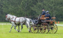 Spřežení Heřmanův Městec 